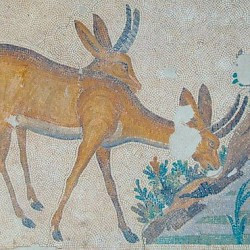 Constantinople, Imperial Palace, Mosaic of two deer