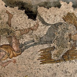 Constantinople, Imperial Palace, Mosaic of a man and his donkey