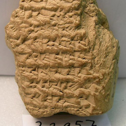 BCHP 09 End of Seleucus Chronicle (BM 32957), Reverse