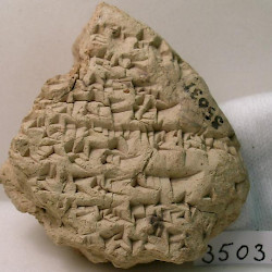 BCHP 20 Euphrates Chronicle (BM 35031), Obverse