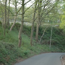 Nijmegen-Hunerberg, Northeastern slope