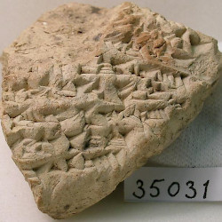 BCHP 20 Euphrates Chronicle (BM 35031), Reverse