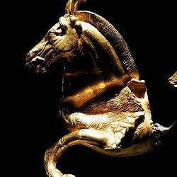 Pegasus