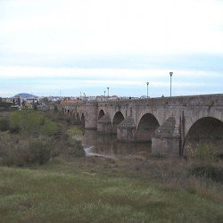 Augusta Emerita, Bridge