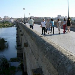 Augusta Emerita, Bridge