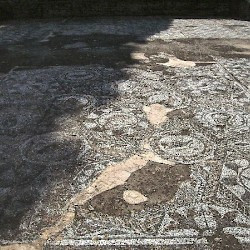 Augusta Emerita, House of the Amphitheater, Fish mosaic