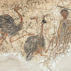 Villa of Dar Buc Ammera, gladiator mosaic, Fight against ostriches