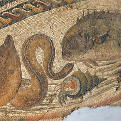 Villa of Dar Buc Ammera, round mosaic, detail: fish