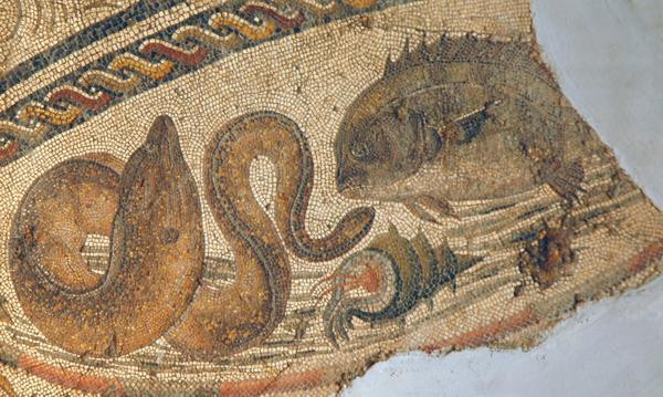 Villa of Dar Buc Ammera, round mosaic, detail: fish
