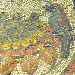 Villa of Dar Buc Ammera, round mosaic, detail: birds