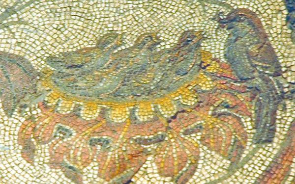 Villa of Dar Buc Ammera, round mosaic, detail: birds