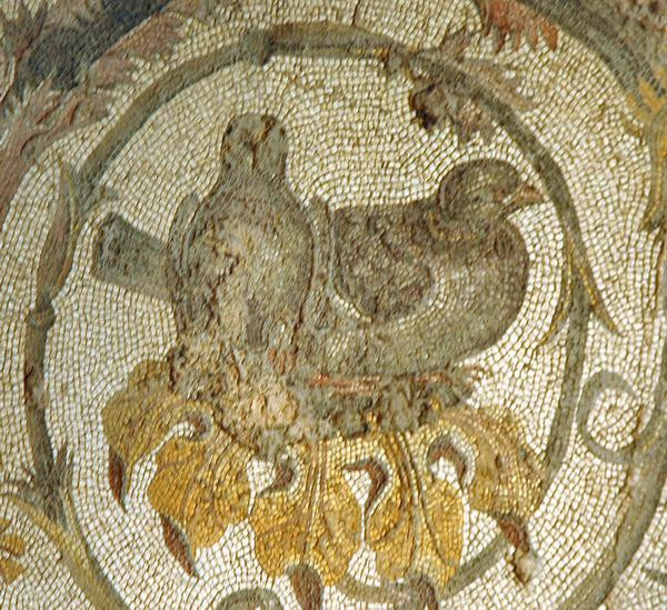 Villa of Dar Buc Ammera, round mosaic, detail: birds