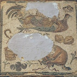 Villa of Dar Buc Ammera, seasons mosaic, land animals and birds