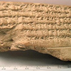 BCHP 12 Seleucus III Chronicle (BM 35421), Reverse