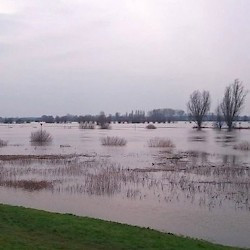 The IJsel River in the winter (near Zutphen)