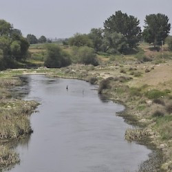Scamander, Midstream