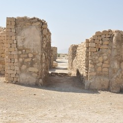 Bishapur, Gate