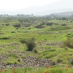 Bishapur, Unexcavated living quarters