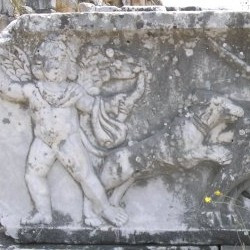Theater decoration: erotes fighting animals