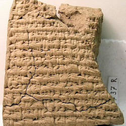 BCHP 17 Judicial Chronicle (BM 47737), Reverse 19-33