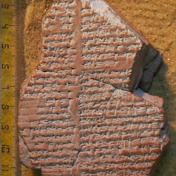 Dynastic Prophecy, Columns I and II