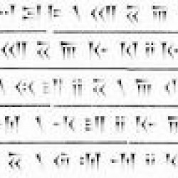 XSc (drawing)