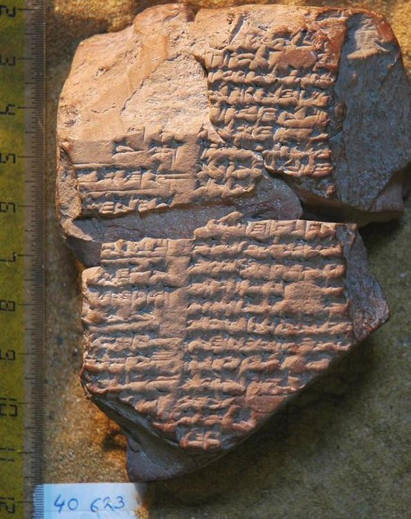 Dynastic Prophecy, Columns VI and V