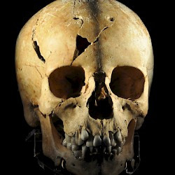 Athens, Kerameikos, Skull of Myrthis