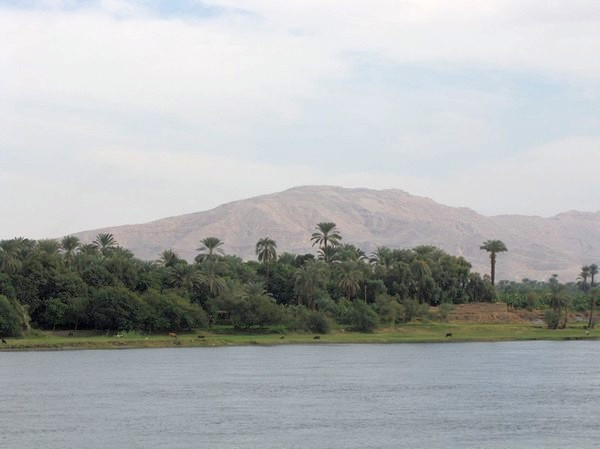 The Nile