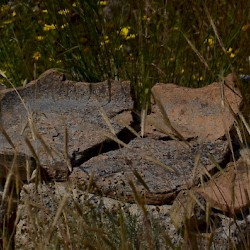 Enkomi, Remains of bathtub (?)