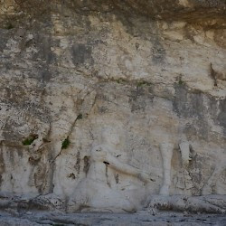 Bishapur, Relief I