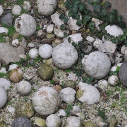 Jerusalem, Citadel, Catapult stones
