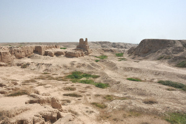 Susa, Excavation of the acropolis