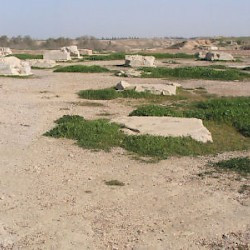 Susa, Apadana