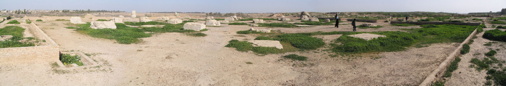 Susa, Apadana