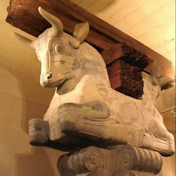 Susa, Apadana, Capital