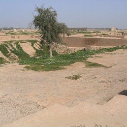 Susa, Palace of Darius, First Court