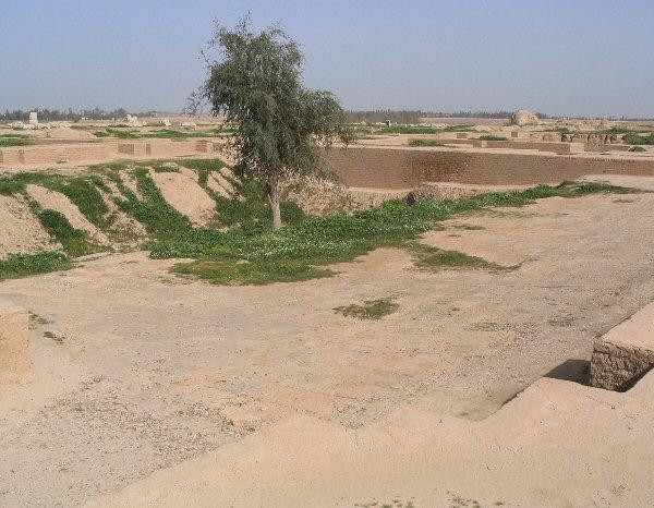 Susa, Palace of Darius, First Court