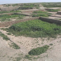 Susa, Palace of Darius, Treasury