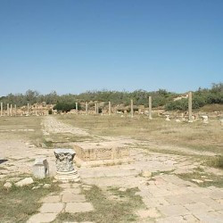 Lepcis Magna, Palaestra