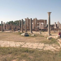 Lepcis Magna, Palaestra