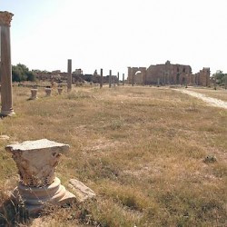 Lepcis Magna, Palaestra (nymphaeum in the background)