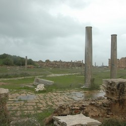 Lepcis Magna, Palaestra