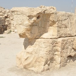 Bishapur, So-called Temple of Anahita, bull's head