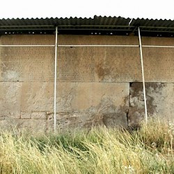 Persepolis, Terrace, Southern wall, Inscriptions DPd-e