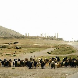 Persepolis, Terrace, seen from the north