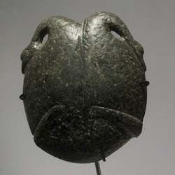 Naqada I-II, Aquatic animals