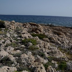Maa, Shore with remains of a Mycenaean wall