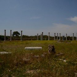 Salamis, Gymnasium, Palaestra