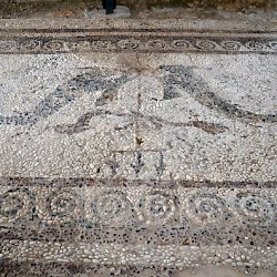 New Paphos, Acropolis, Hellenistic mosaic of two dolphins